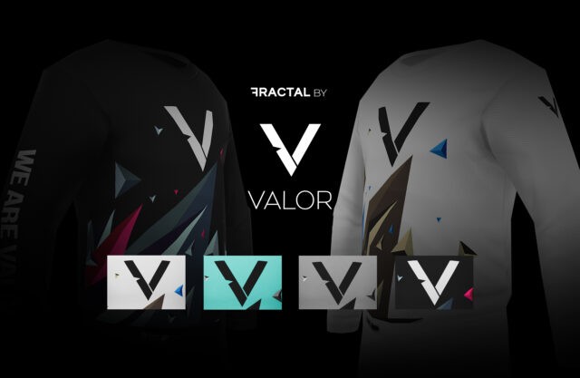 Fractal by Valor | 4 Colorways w/Gloves